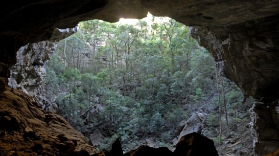 Grotte aux Tsingy del'Ankarana