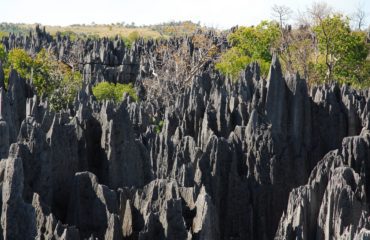 Panorama Tsingy des Tsingy du Bemaraha