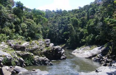 Parc National de Ranomafana