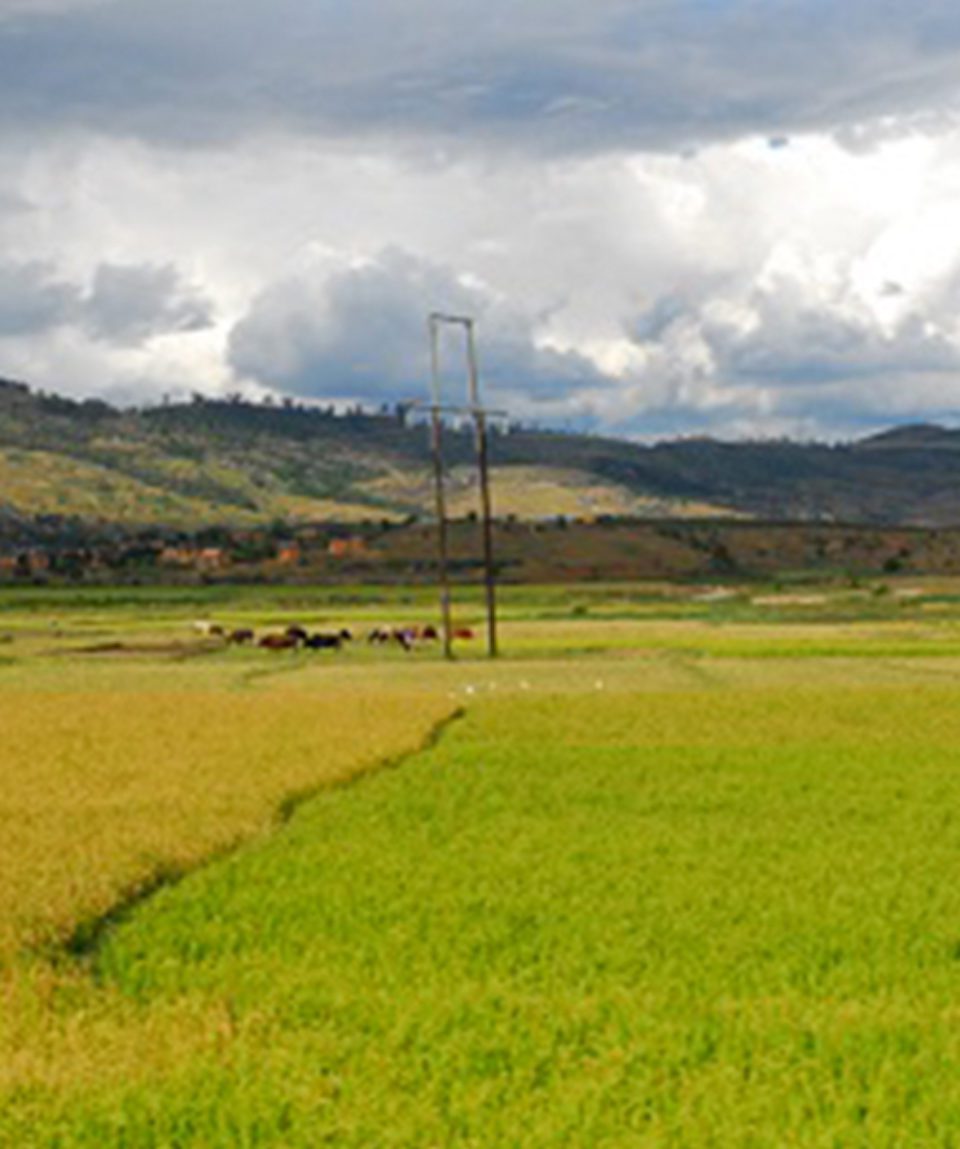 Sur la Route Antsirabe Miandrivazo